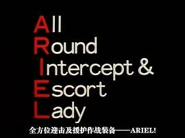 ARIEL 圖5