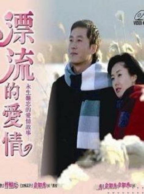 漂流的愛情