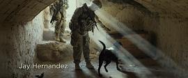 軍犬麥克斯 圖6