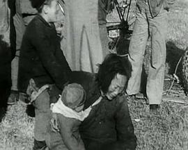 南京 圖6