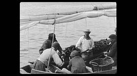 捕撈沙丁魚 圖1