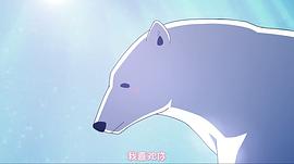 恋爱中的北极熊 图10