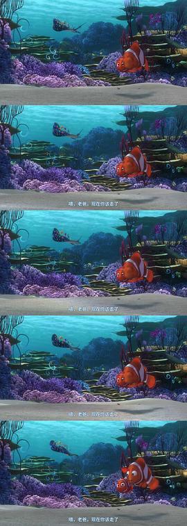 海底总动员电影免费观看完整版 图7
