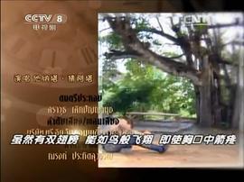为了你电视剧40集免费观看 图6