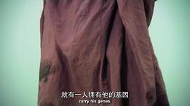 人類：我們所有人的故事 第一季 圖3