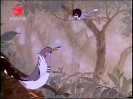 布谷鳥叫遲了 圖2