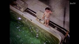 晨曲 圖2