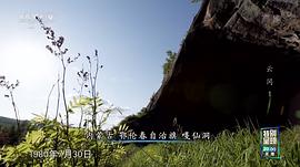 云岡 圖6