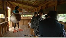 笑料一火車 第二季 圖4