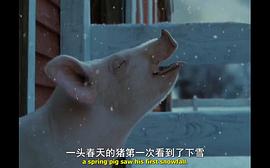 夏洛特的网电影免费观看中文版 图9