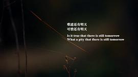 央視9搖搖晃晃的人間 圖1