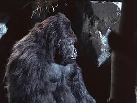 爬行人 圖2