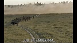 懲戒營 圖5