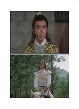 少林傳人 圖10