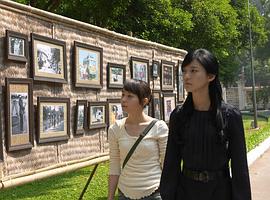 抽象画中的越南少女中的男主是谁 图10