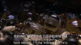 生命故事 图5