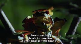 地球脈動 第一季 圖9