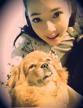 神犬小七 第一季 圖7