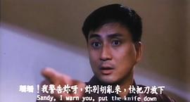 風(fēng)流家族 圖9