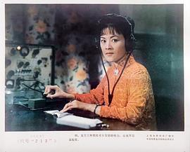代號213 圖3