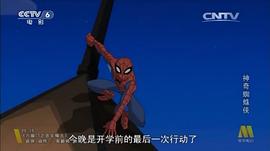 漫威蜘蛛正版免費(fèi)下載安裝 圖9