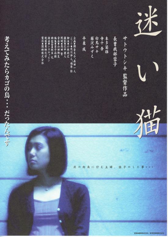 迷い貓
