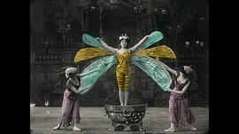 金甲蟲 圖1