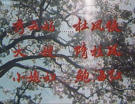 花開(kāi)花落 圖10