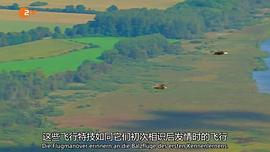 鸟瞰德国 图8