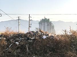 張素英的“城堡” 圖1