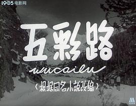 五彩路 圖3