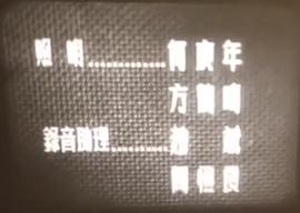 南征北戰(zhàn) 圖1