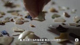 塑料海洋中文版 图5