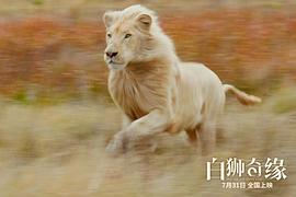电影白狮传奇 图3