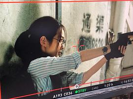 飛虎之雷霆極戰(zhàn)1080P下載 圖3