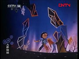 人參娃娃 圖8