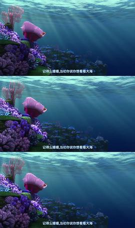 海底总动员电影免费观看完整版 图5