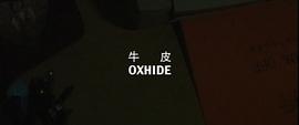 牛皮 圖3
