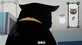 做家务的猫今天也很忧郁 图4