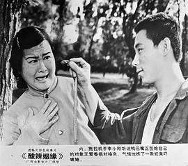 酸辣姻緣 圖1
