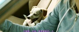 心跳回憶1997影片在線觀看 圖7