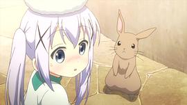 兔子动画图片 图8