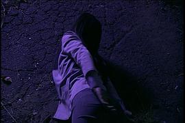 職業(yè)女特工 圖2