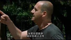 紅熊 圖8