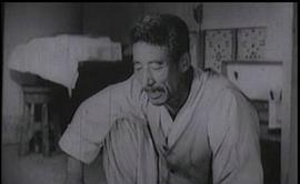 鮮花盛開的村莊 圖5