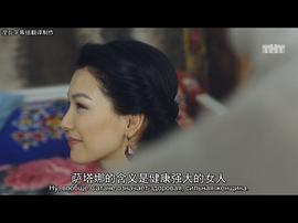 美剧碟中谍第一季 图5