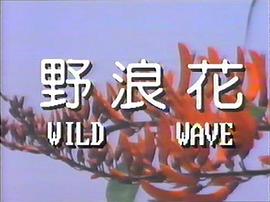 野浪花 圖8