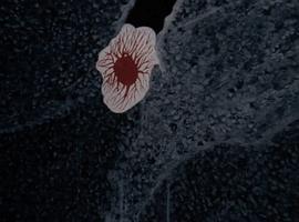 大衛(wèi)林奇短片集 圖5