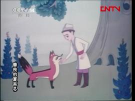 善良的夏吾冬 圖10