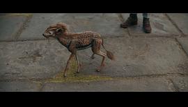 神奇动物：邓布利多之谜 图4